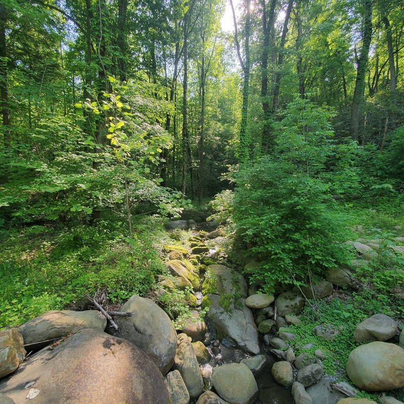 Best Time to Visit & What to Bring