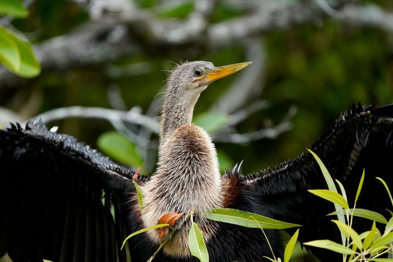 Bike Rentals That Make Wildlife Photography Easier