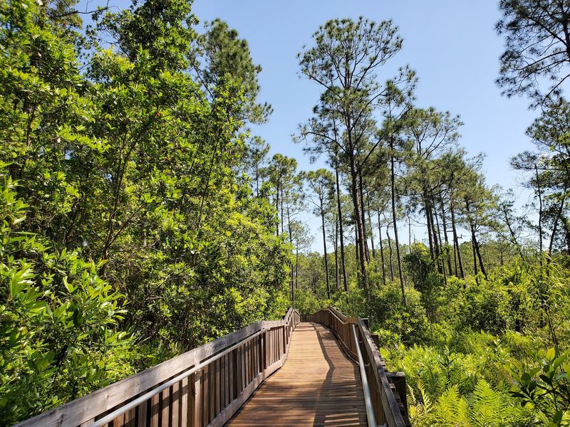 Miles of Free Trails Through Real Florida Ecosystems