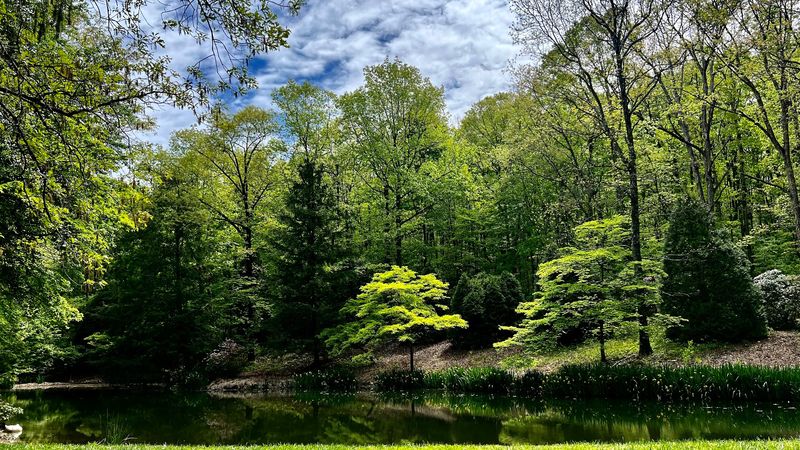 What to Know Before You Visit This Private Tennessee Garden