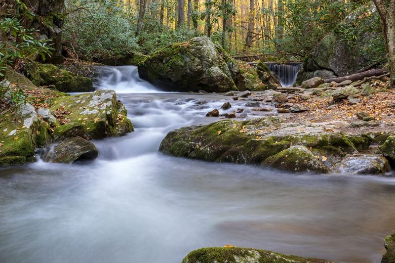 Lamar Alexander Rocky Fork State Park
