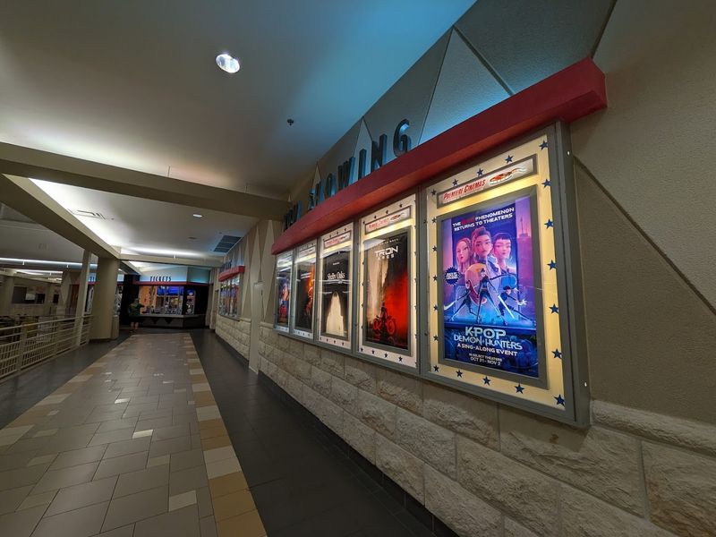 The Movie Theater Experience Like No Other