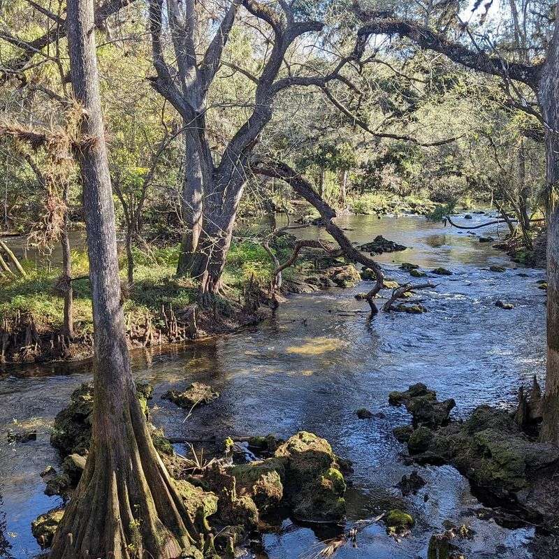 Hillsborough River State Park