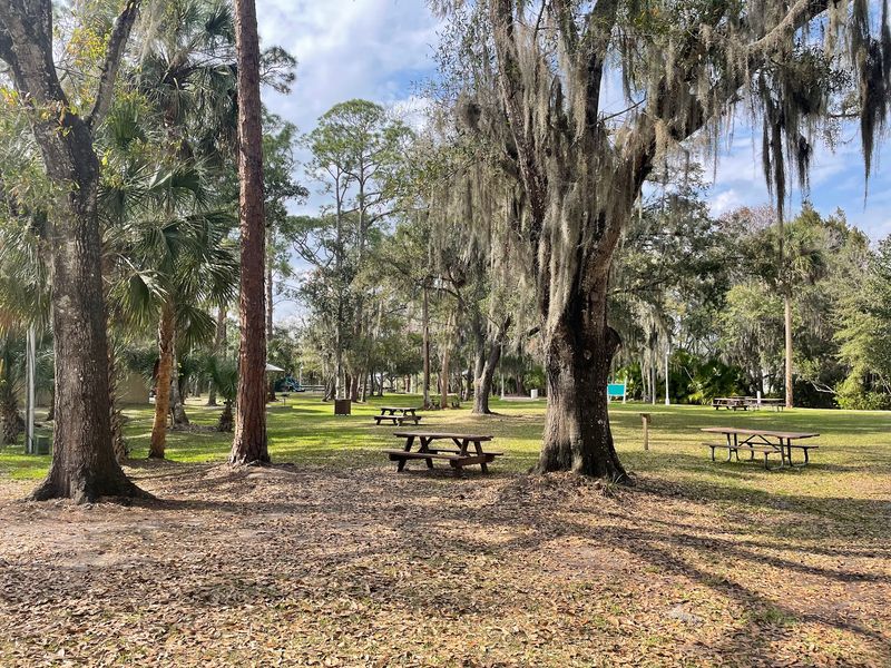 Pack a Picnic With a View