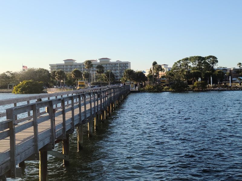 Safety Harbor