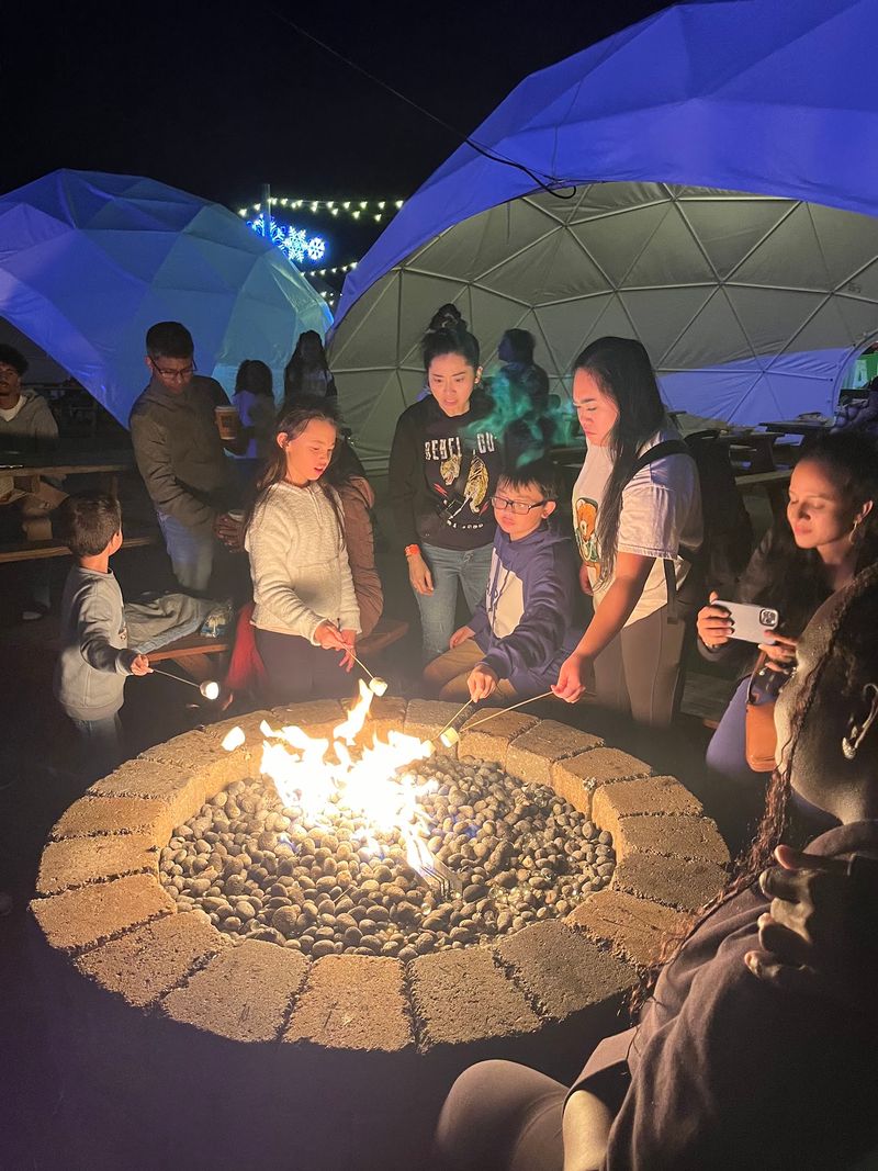 S'mores Around the Fire Pits