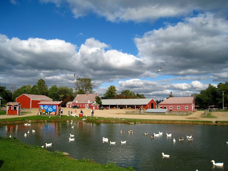 Upland Hills Farm (Oxford)