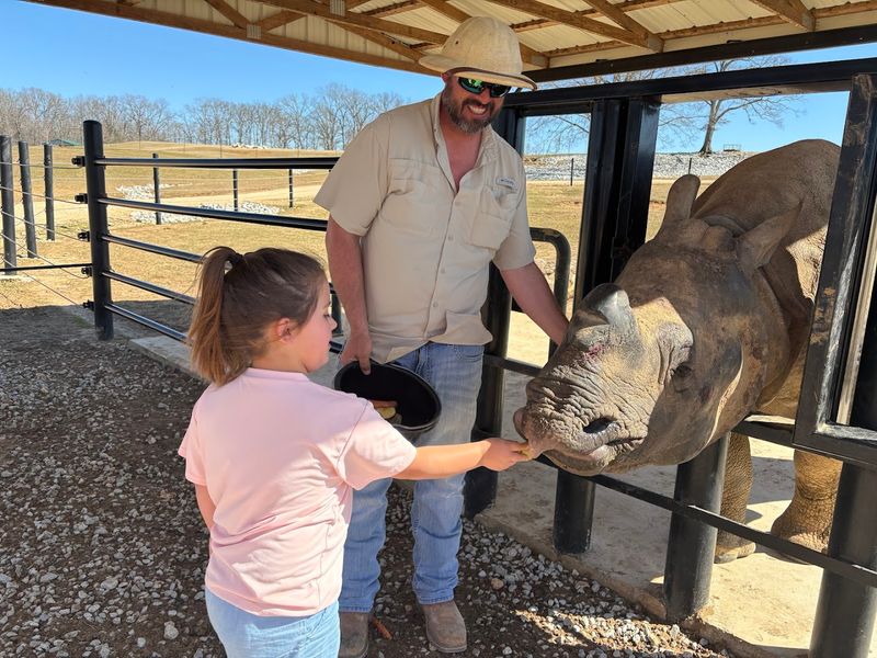 Tips to Know Before You Visit