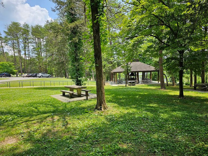 It is especially good for families and casual day trips