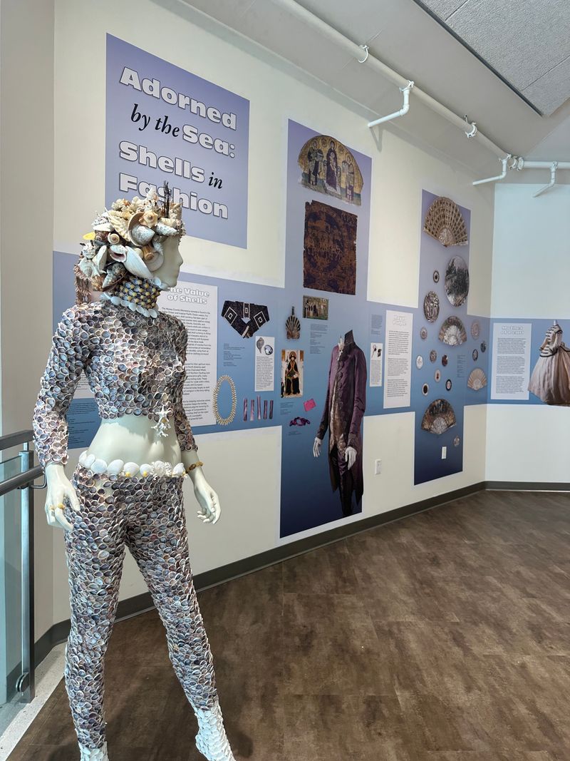 Shells in Culture and Fashion