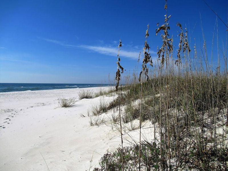 Perdido Key State Park (Perdido Key)