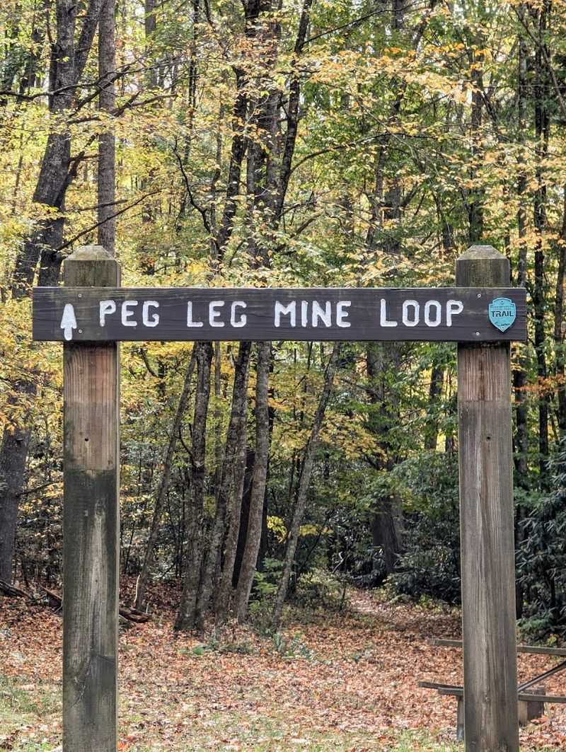 The Best Ways to Spend a Day at Roan Mountain State Park