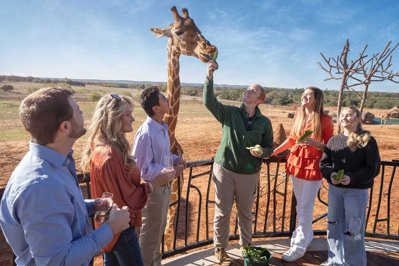 Conservation at the Core