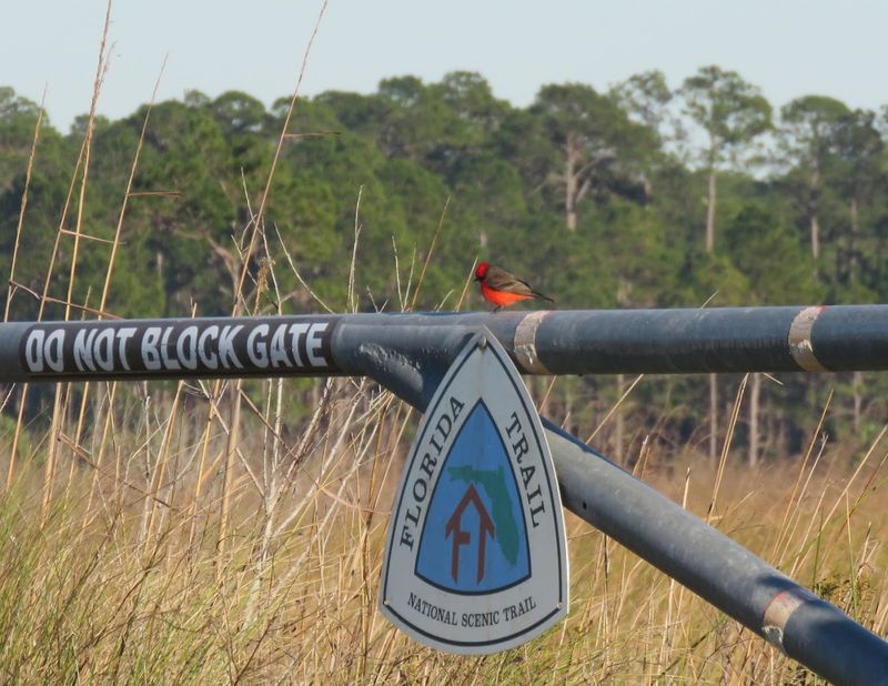 A Trail That Spans the Entire State