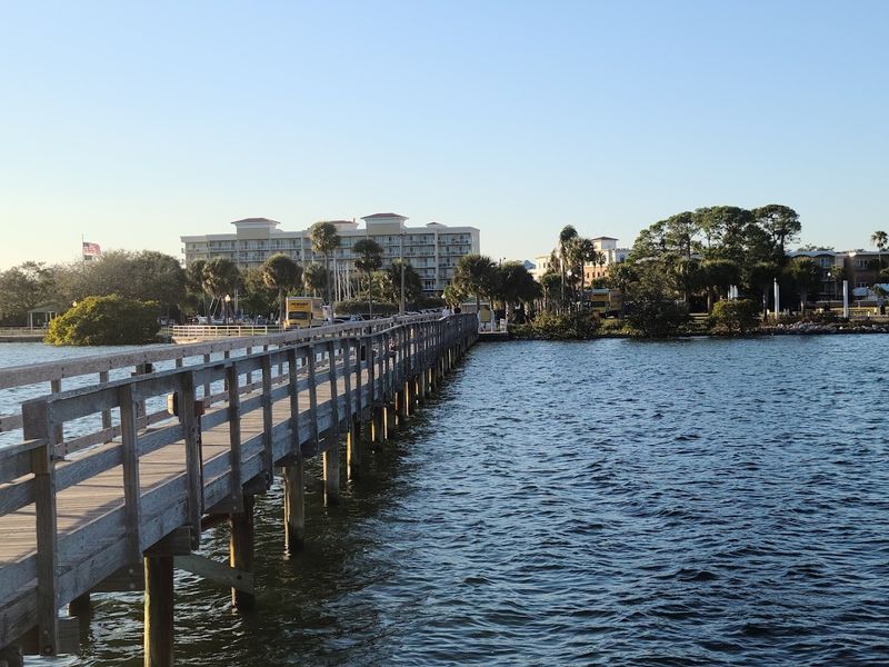 Safety Harbor