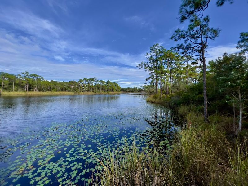 Nearby Grayton Beach State Park for Nature Lovers