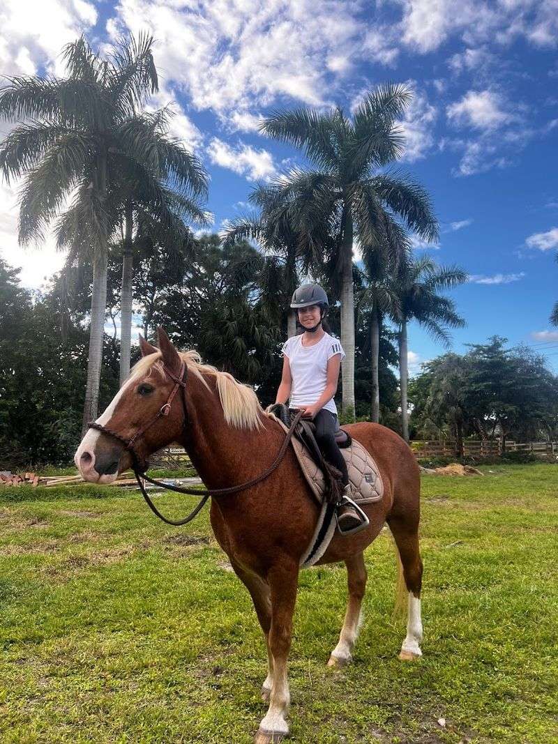 Horseback Riding For All Experience Levels