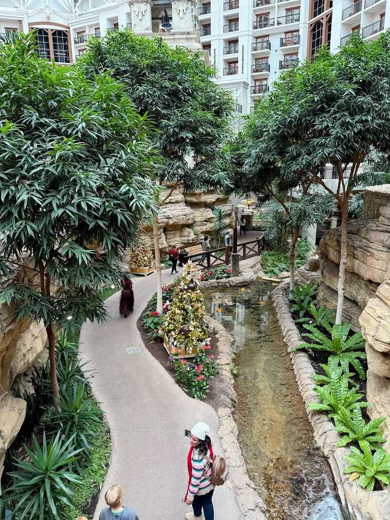 Entertainment That Keeps Everyone Busy Without Leaving the Property