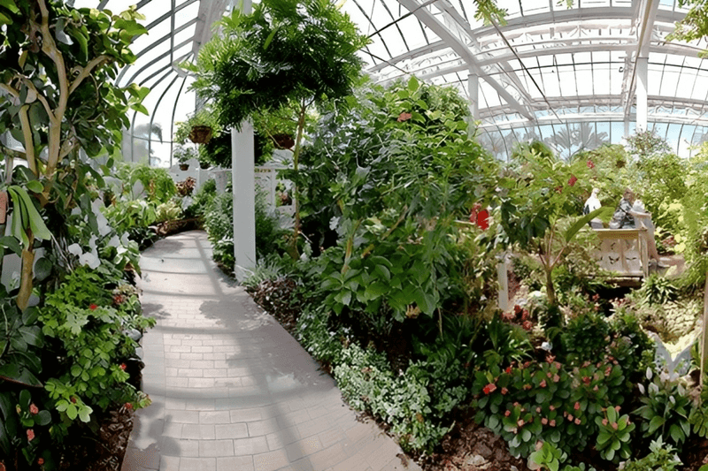 Key West Butterfly and Nature Conservatory: A Glass Dome of Wings