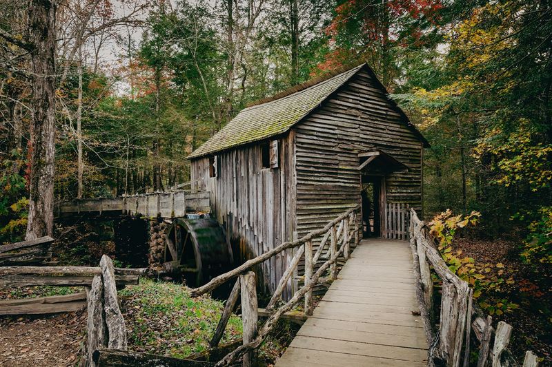 Explore the Historic Homestead
