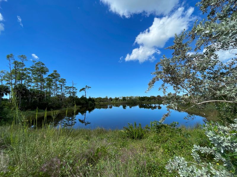 Water Garden and Florida Native Preserve