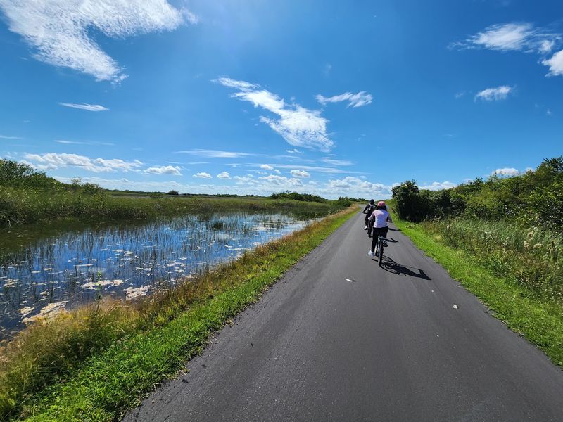 Bike Rentals That Disappear Fast
