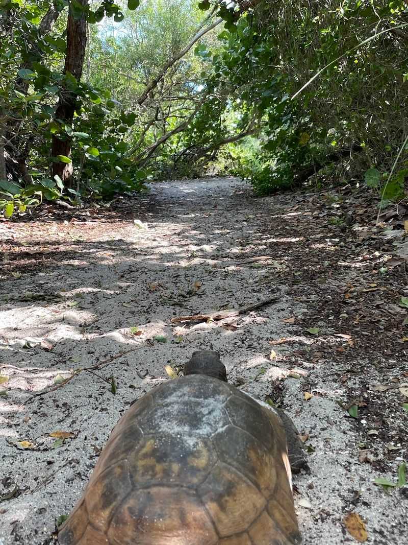 The Trail Through Five Different Natural Communities