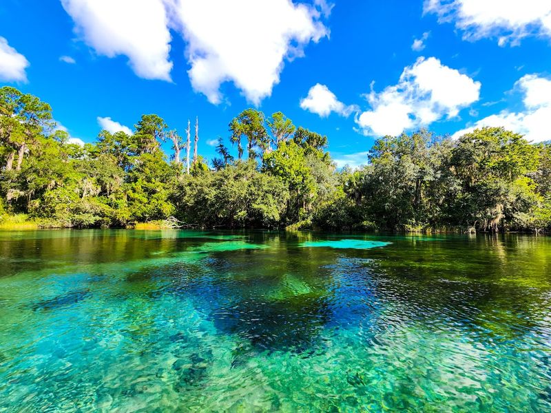 Rainbow Springs State Park (Dunnellon)