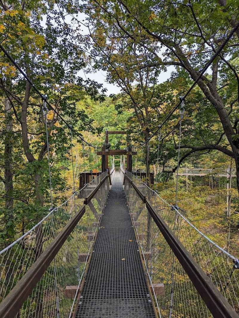 Judith and Maynard H. Murch IV Canopy Walk (Kirtland)