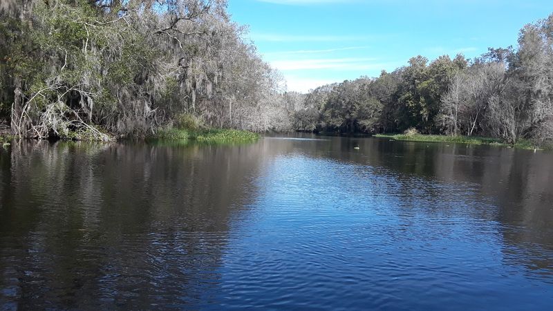 Alafia River (Lithia)