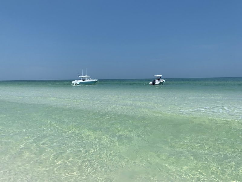 Crystal-Clear Waters Perfect for Marine Life Spotting