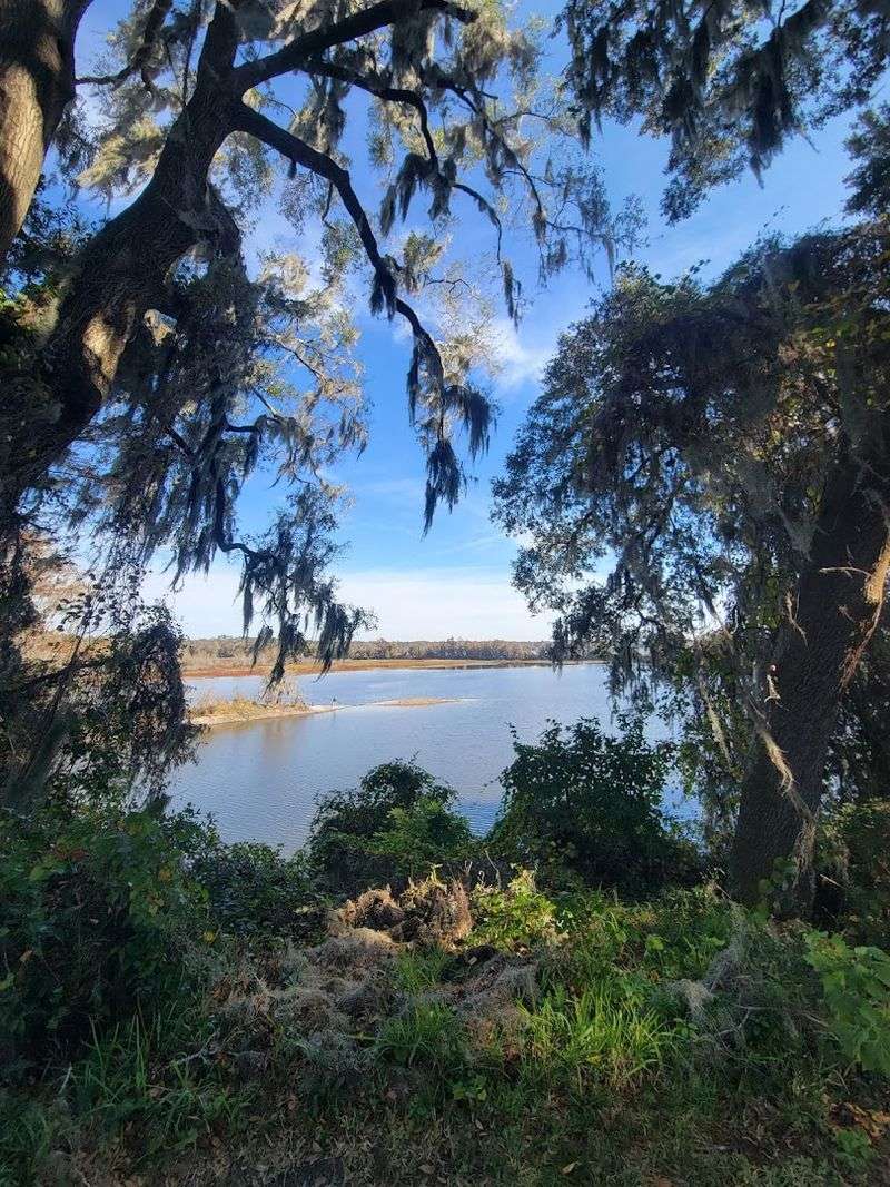 Alligator Lake (Lake City)