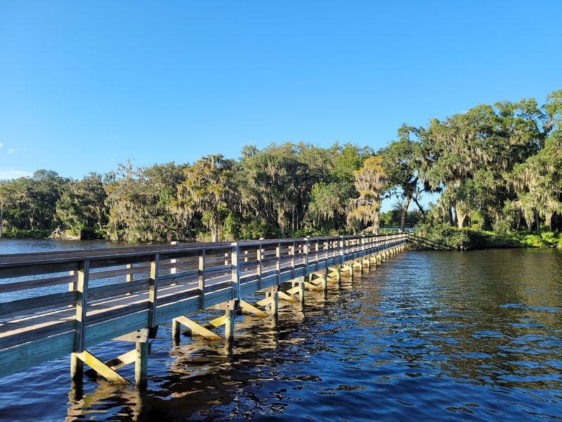 Wildlife Watching Through The Seasons