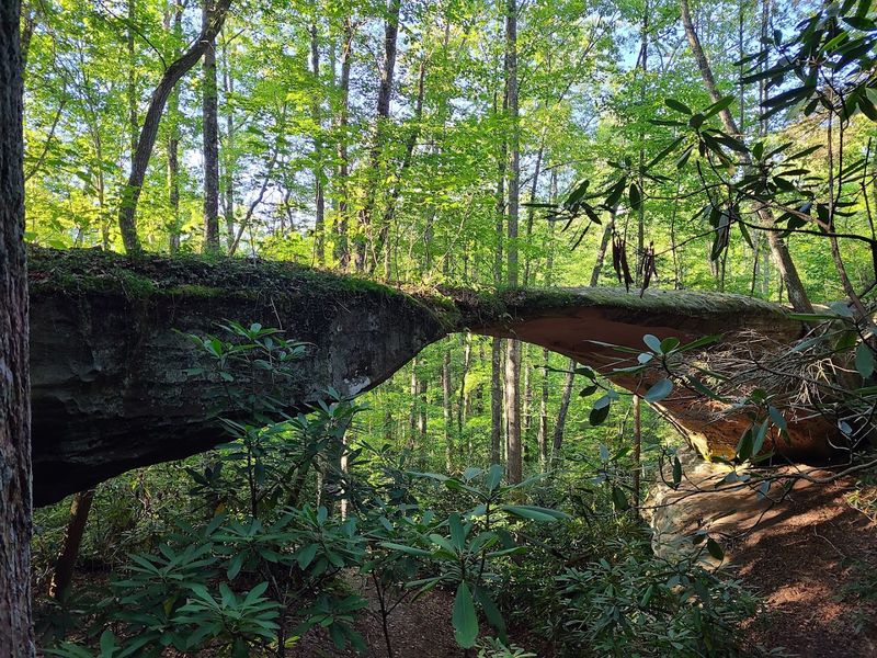 A Hidden Escape in Tennessee You'll Want To See for Yourself