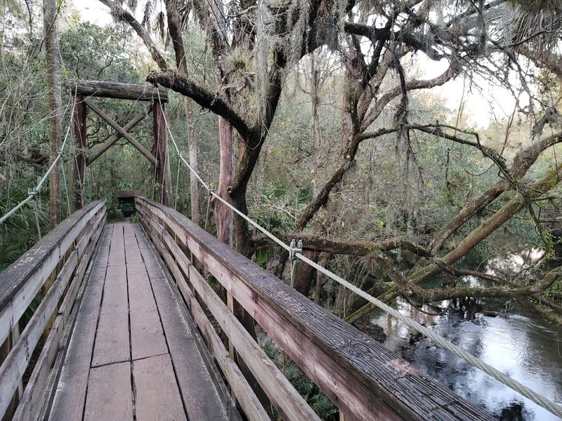That Swinging Suspension Bridge Everyone Talks About