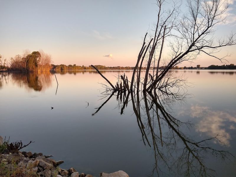 Wetlands Boardwalk And Birdwatching
