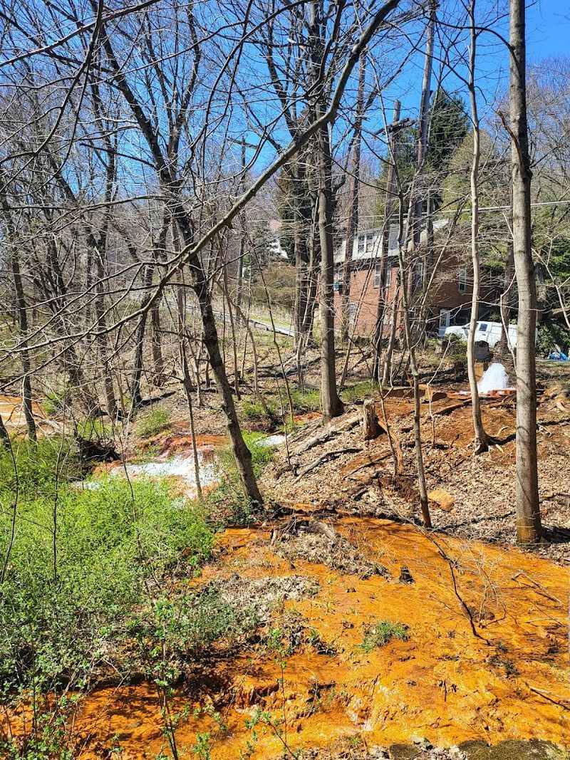 Safety, Etiquette, and Access