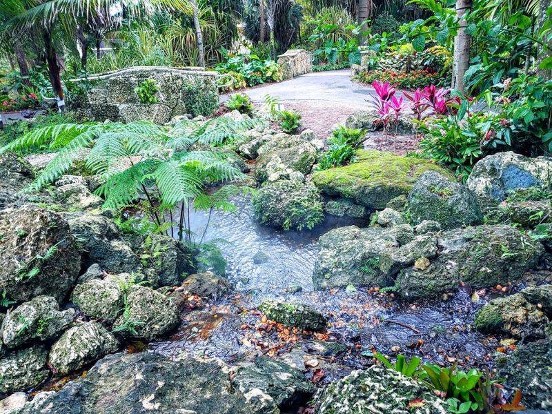 Serene Mini Waterfalls and Stream Features