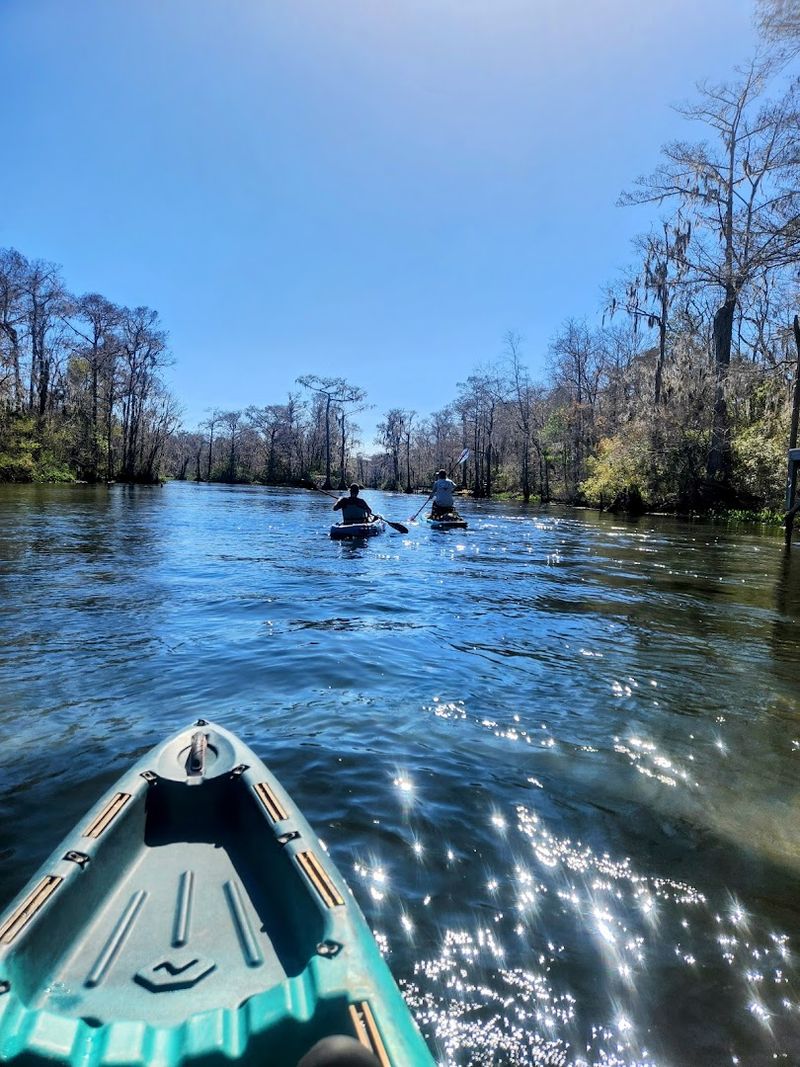 Wakulla River