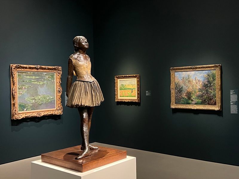Monet's Water Lilies and French Impressionist Collection