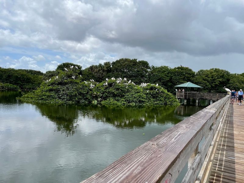 Wakodahatchee Wetlands (Delray Beach)