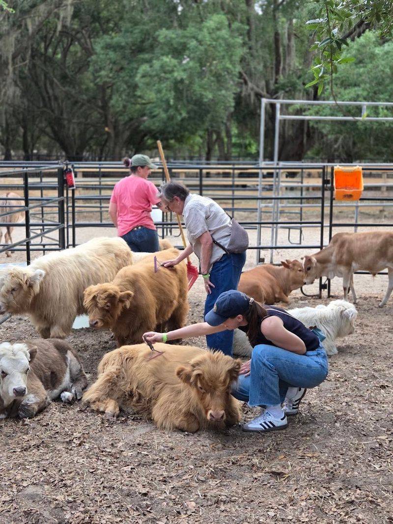 Book Small Group Tours for Personal Attention