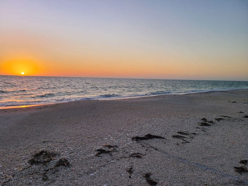 Camping Under Stars And Sea Breeze