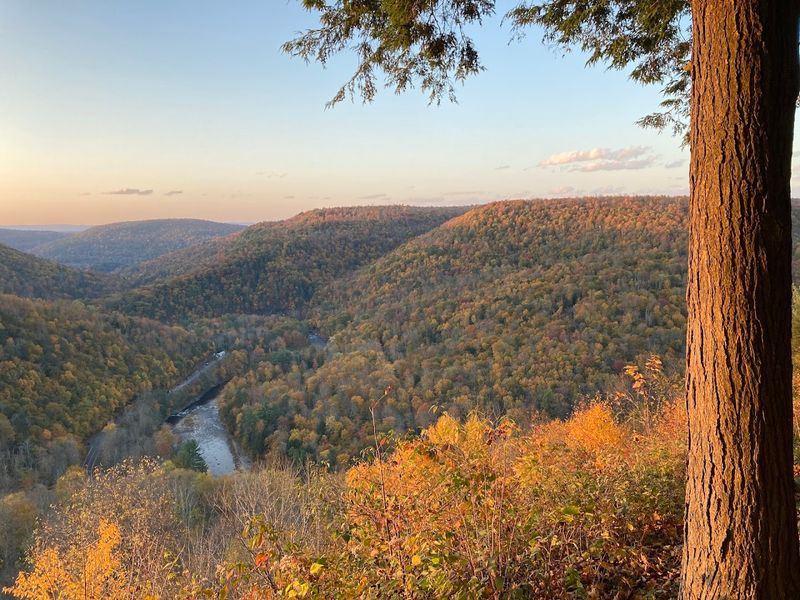 Canyon Vista Trail, Worlds End State Park, PA