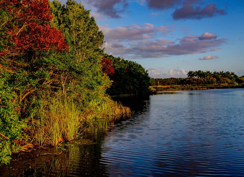 Sunrise and Golden Hour Magic That Transforms the Wetlands