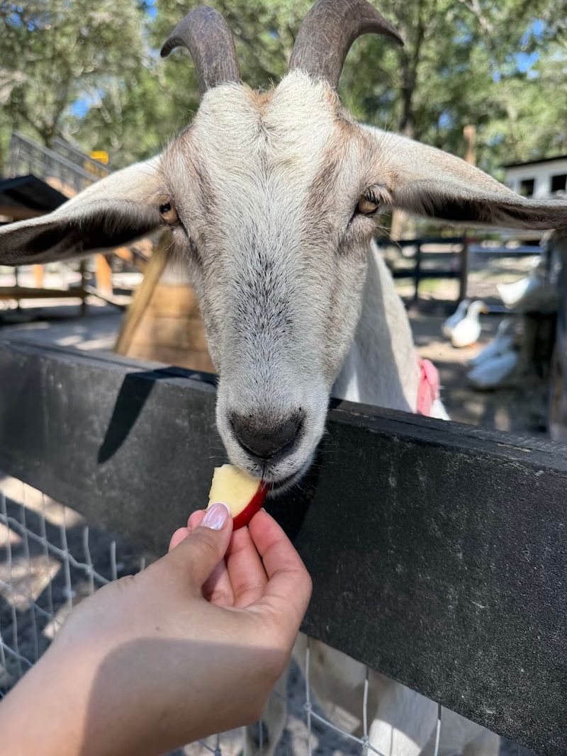 Hands-On Feeding Experiences