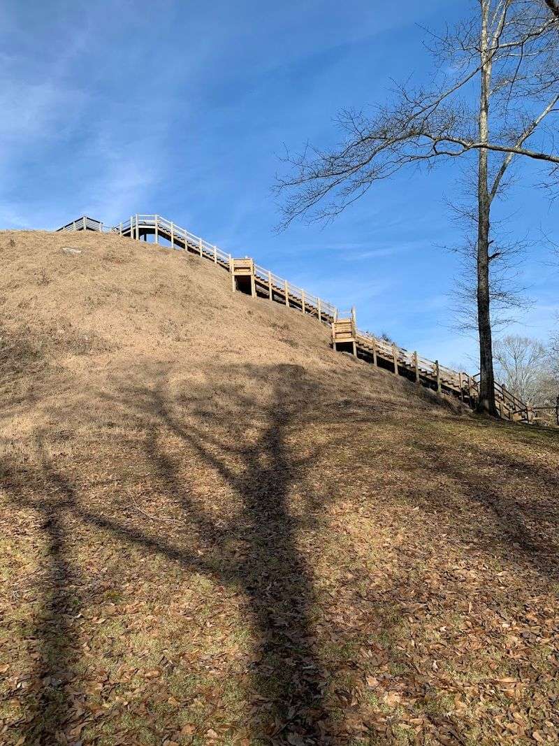 Archaeological Discoveries That Revealed the Past