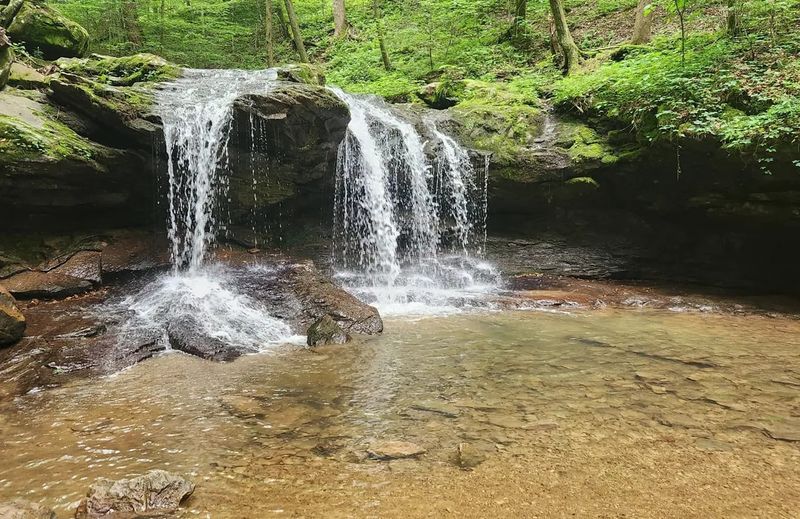 Frozen Head State Park