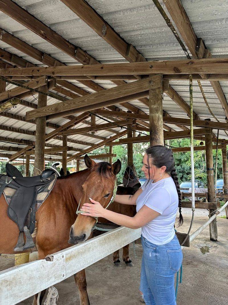 Bar-B-Ranch (Davie)