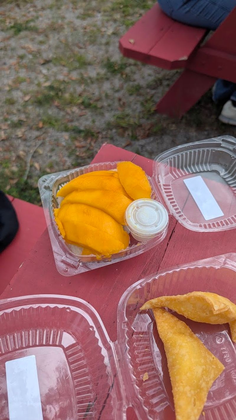 Spring Rolls and Appetizers Worth Ordering